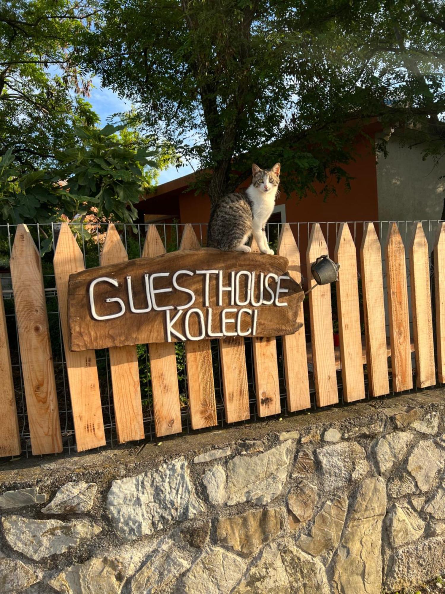 Guesthouse Koleci - Mrizi I Zanave Fishte Exterior foto